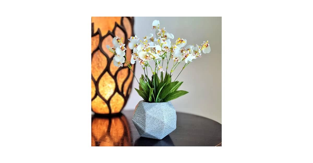 Qual a melhor orquídea para presente: Arranhos que duram