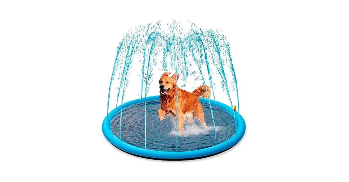 Qual a Melhor Piscina para Cachorro? Guia de Compra
