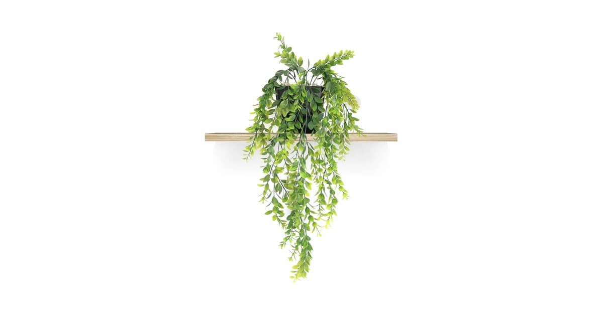 Qual a Melhor Planta Artificial que Parece de Verdade?