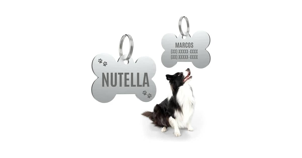 Qual a Melhor Plaquinha de Identificação para Pet: QR Code ou Gravação?