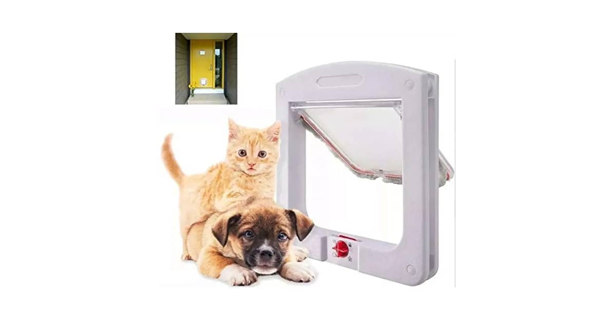 Qual a Melhor Porta para Gato para Instalar em Portas? Guia de 10 Modelos