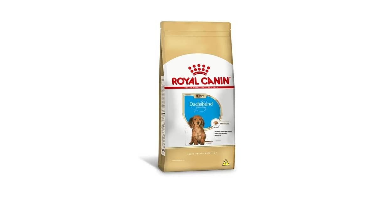 Qual a Melhor Ração para Cães da Raça Dachshund (Salsicha): O Guia