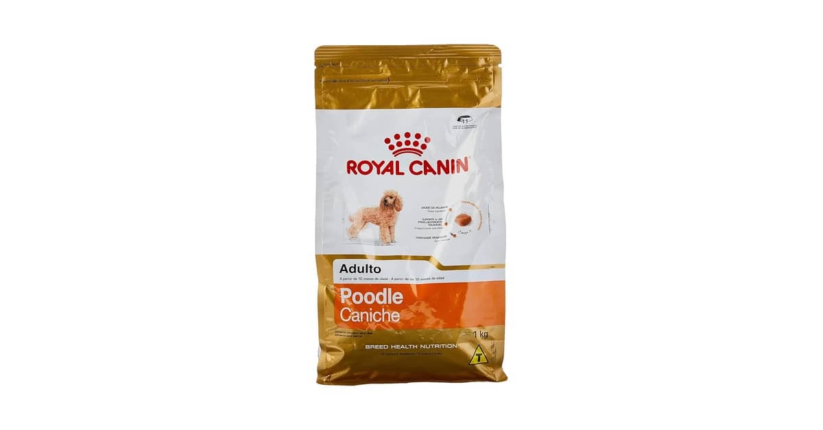 Qual a melhor ração para cães da raça poodle? Análise de 7 rações