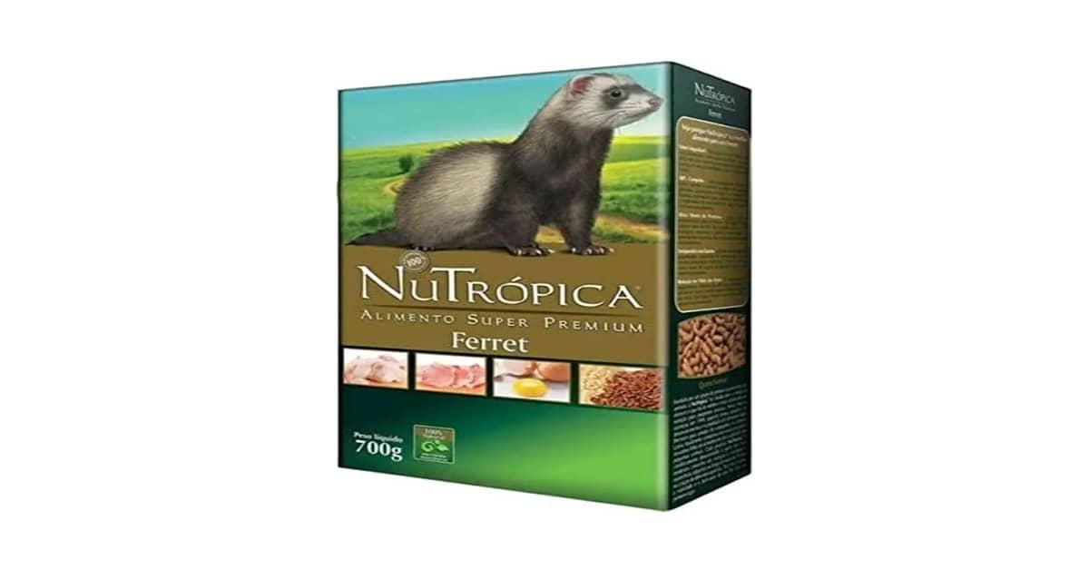 Qual a melhor ração para furão: Guia Nutricional