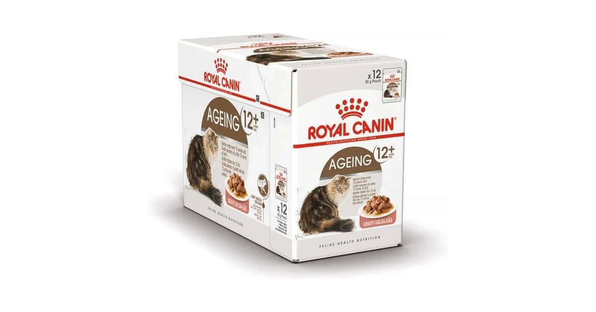 Qual a melhor ração úmida para gatos idosos: Guia Nutricional