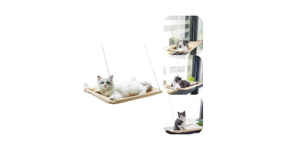 Qual a melhor rede de descanso de janela para gatos? Análise de 10 modelos