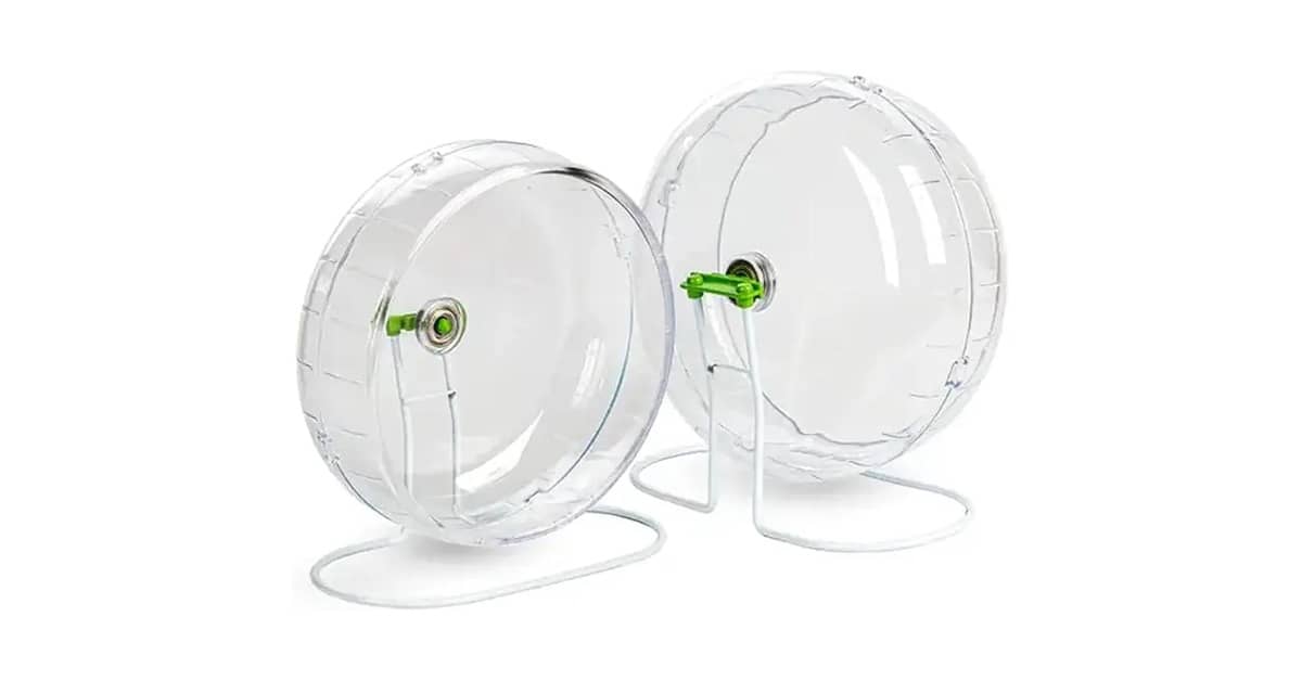 Qual a melhor rodinha de exercício para hamster?