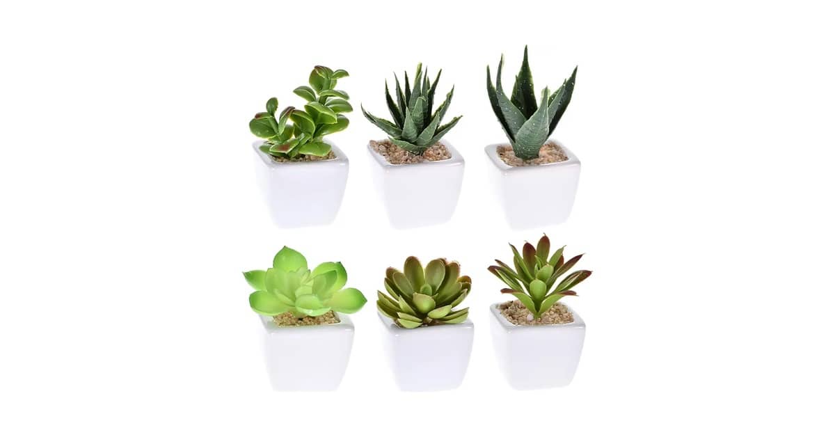 Qual a Melhor Suculenta Artificial? Análise das 10