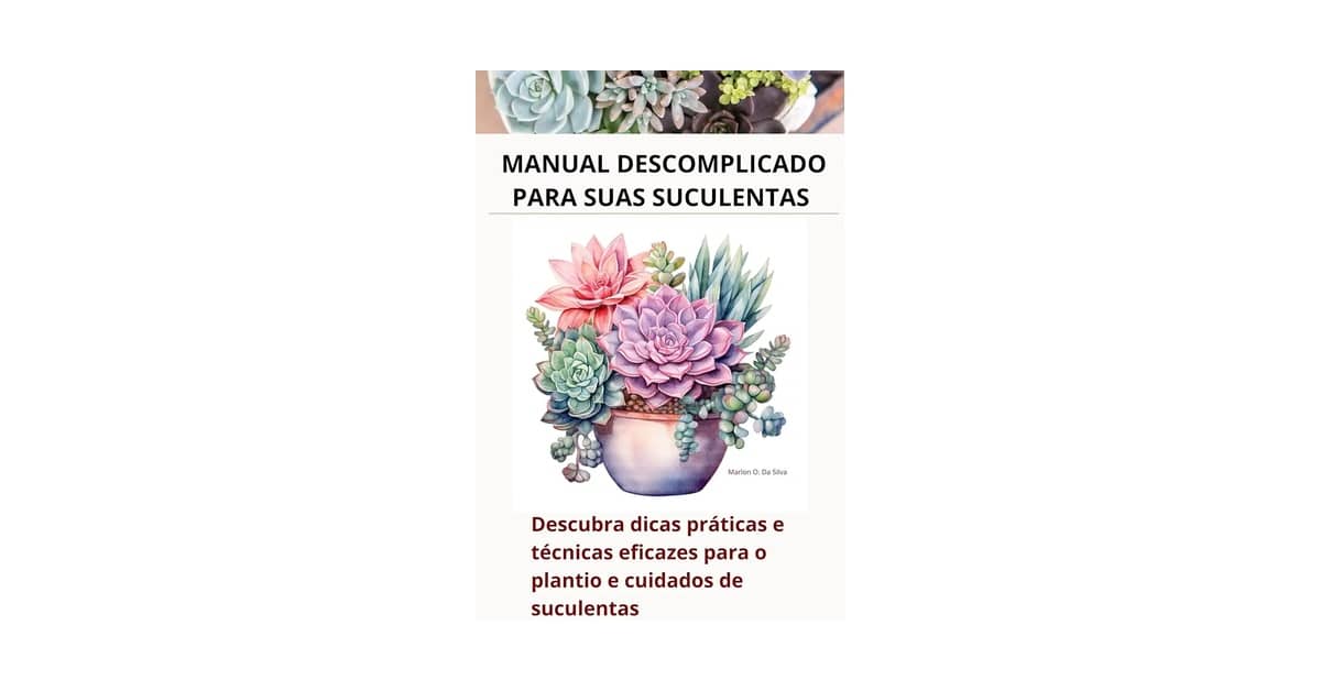 Qual a melhor suculenta de fácil cuidado para iniciantes? 4 mudas