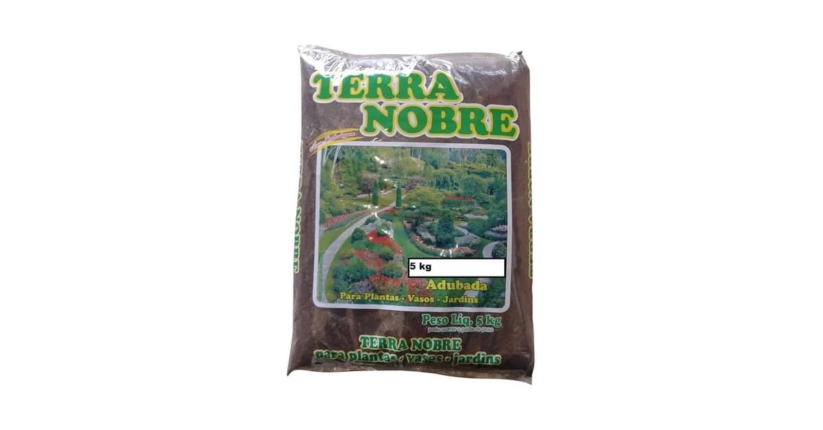 Qual a melhor terra para plantio: do vaso à horta