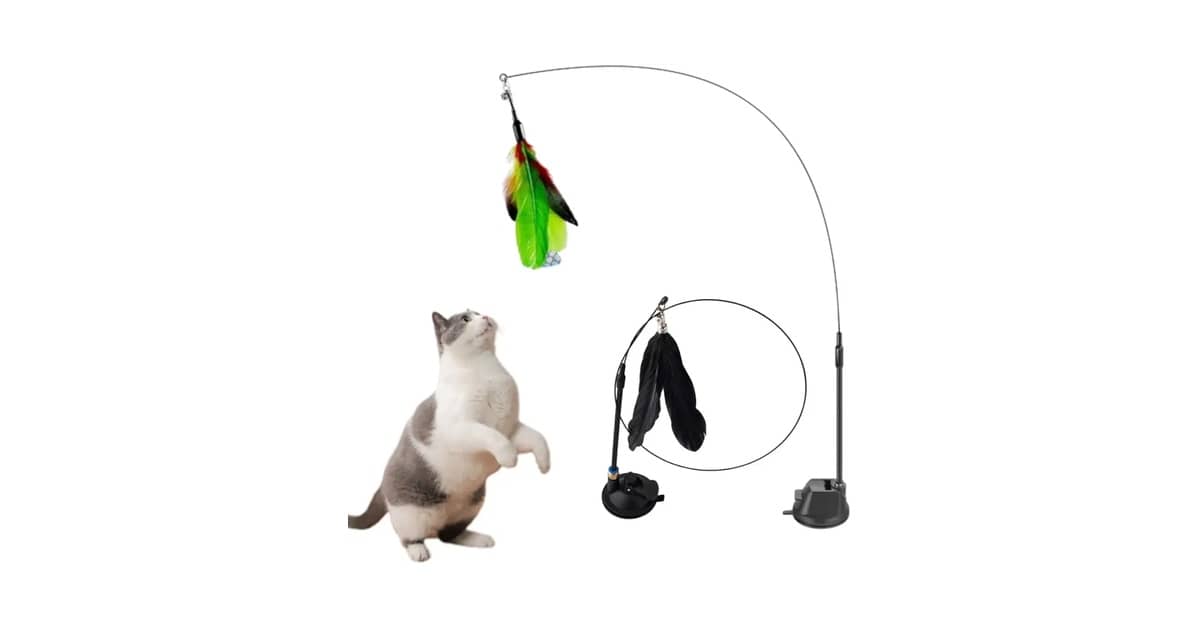 Qual a Melhor Varinha para Gato? Fixas vs. Manuais