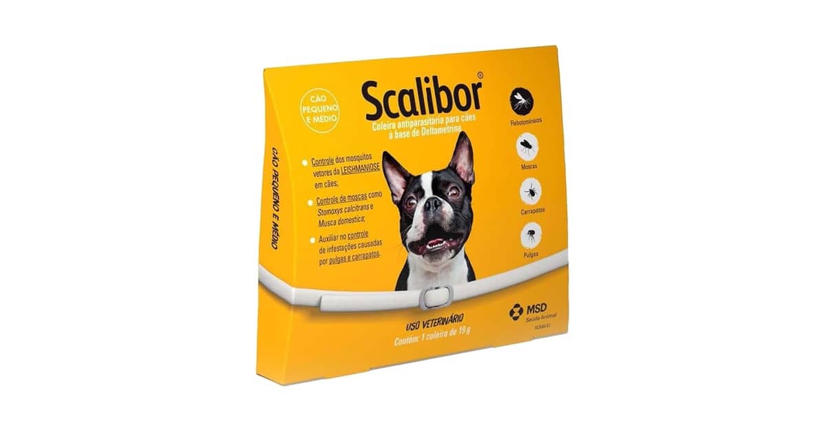 Qual Melhor Coleira Antipulgas? 10 Modelos de Longa Duração
