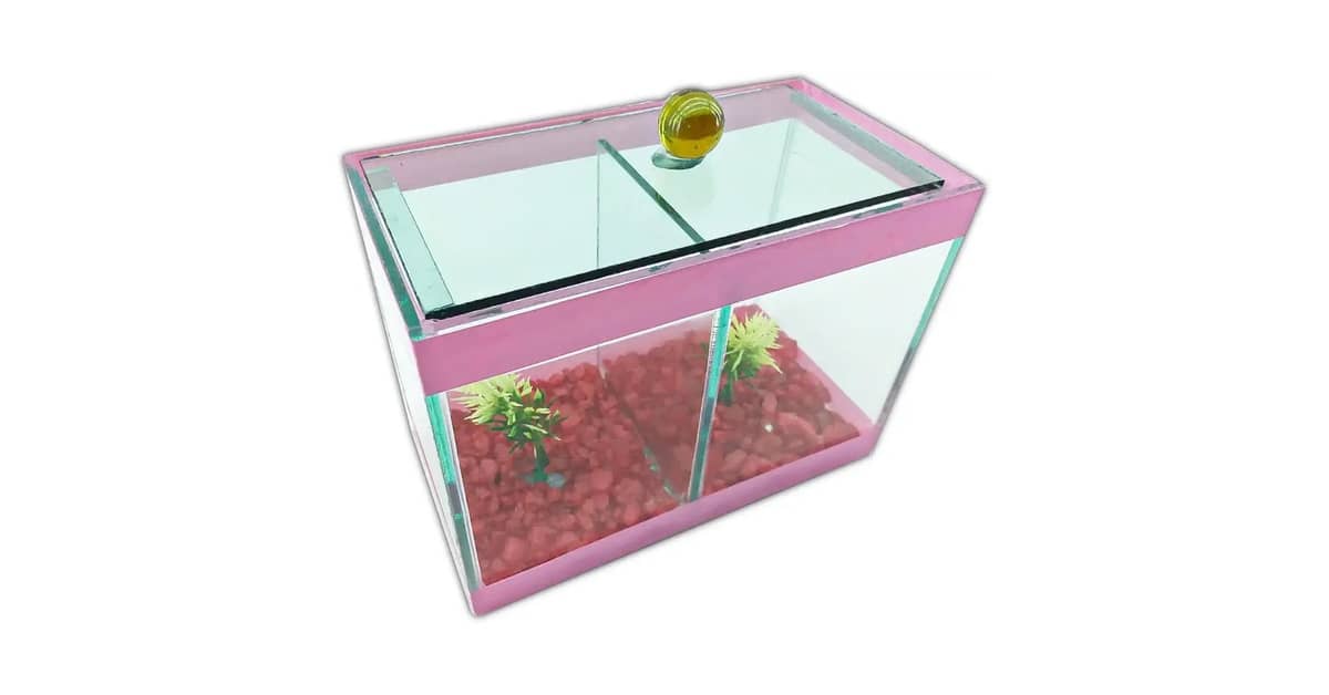 Qual o Melhor Aquário para Peixe Betta: Guia de Litragem