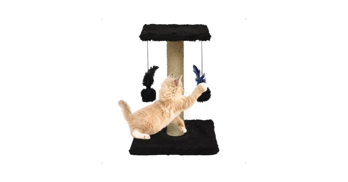 Qual o Melhor Arranhador para Gatos que Não Gostam de Sisal: Guia Completo