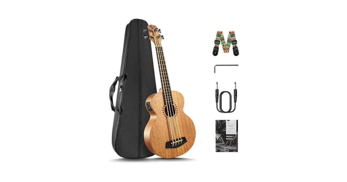 Qual o melhor baixo acústico: Baixolão ou Ukulele?