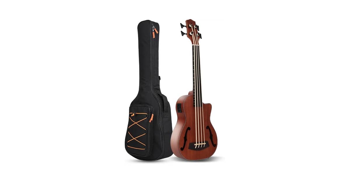 Qual o melhor baixo sem trastes (fretless) compacto?