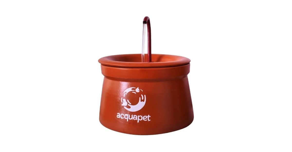 Qual o melhor bebedouro de cerâmica para gato? Top 10
