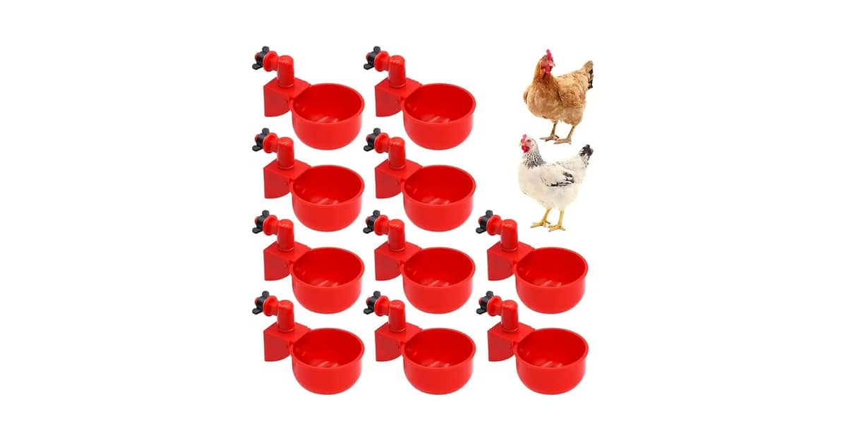 Qual o Melhor Bebedouro para Galinha: Guia dos 10