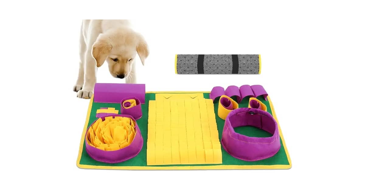 Qual o Melhor Brinquedo de Enriquecimento Ambiental para Cães? Análise de 10 Opções