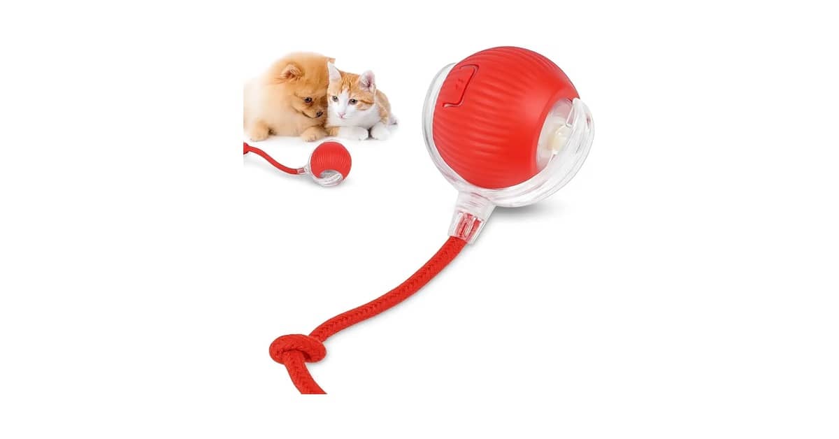 Qual o melhor brinquedo de gato para evitar o tédio