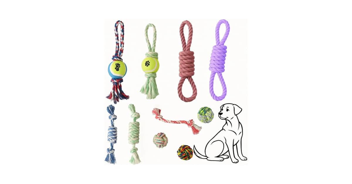 Qual o Melhor Brinquedo para Cães com Ansiedade de Separação: Interativos vs. Conforto