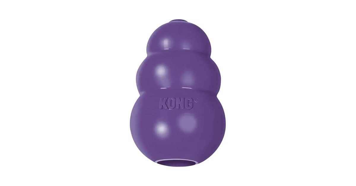 Qual o Melhor Brinquedo para Cães Idosos: 8 Modelos Seguros