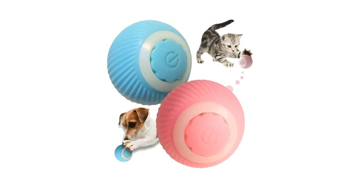 Qual o Melhor Brinquedo para Cães Sozinhos? Top 10