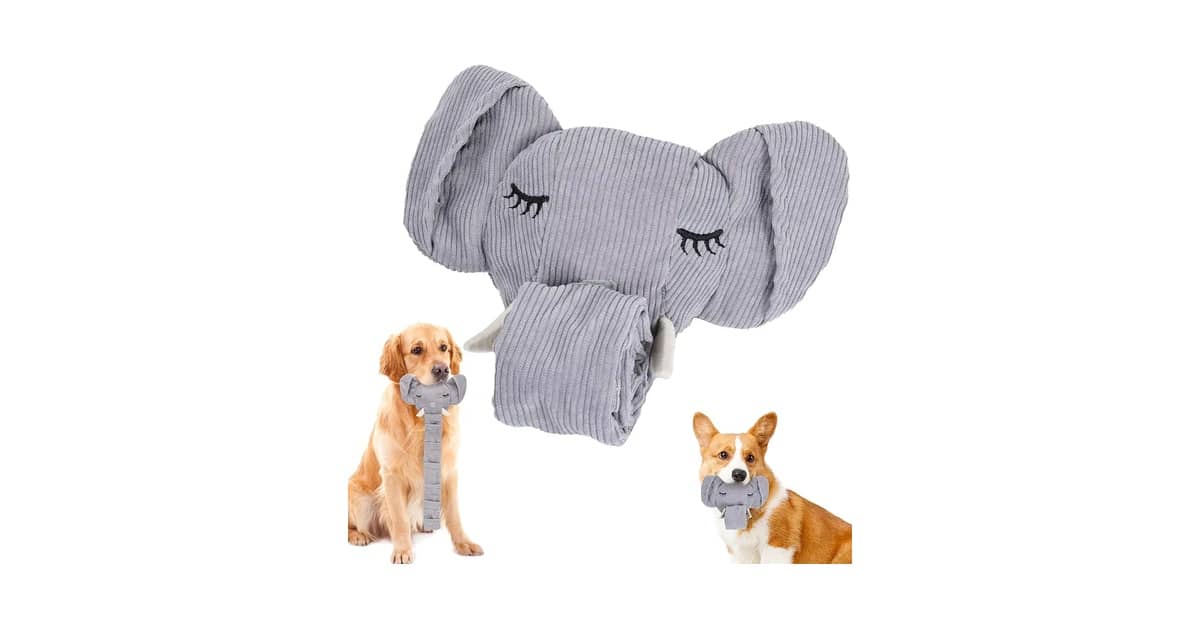 Qual o Melhor Brinquedo para Cães que Gostam de Barulho: Guia de Sons