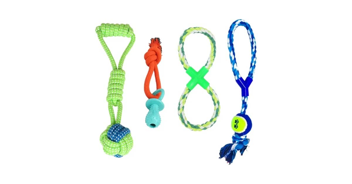 Qual o Melhor Brinquedo para Cães que Gostam de Corda