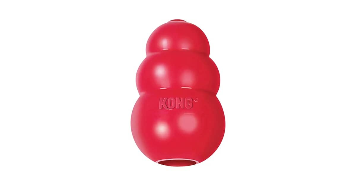 Qual o Melhor Brinquedo para Cães que Gostam de Destruir? Guia de Resistência