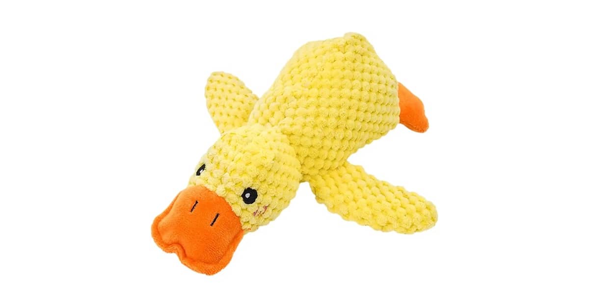 Qual o Melhor Brinquedo para Cães que Gostam de Som?