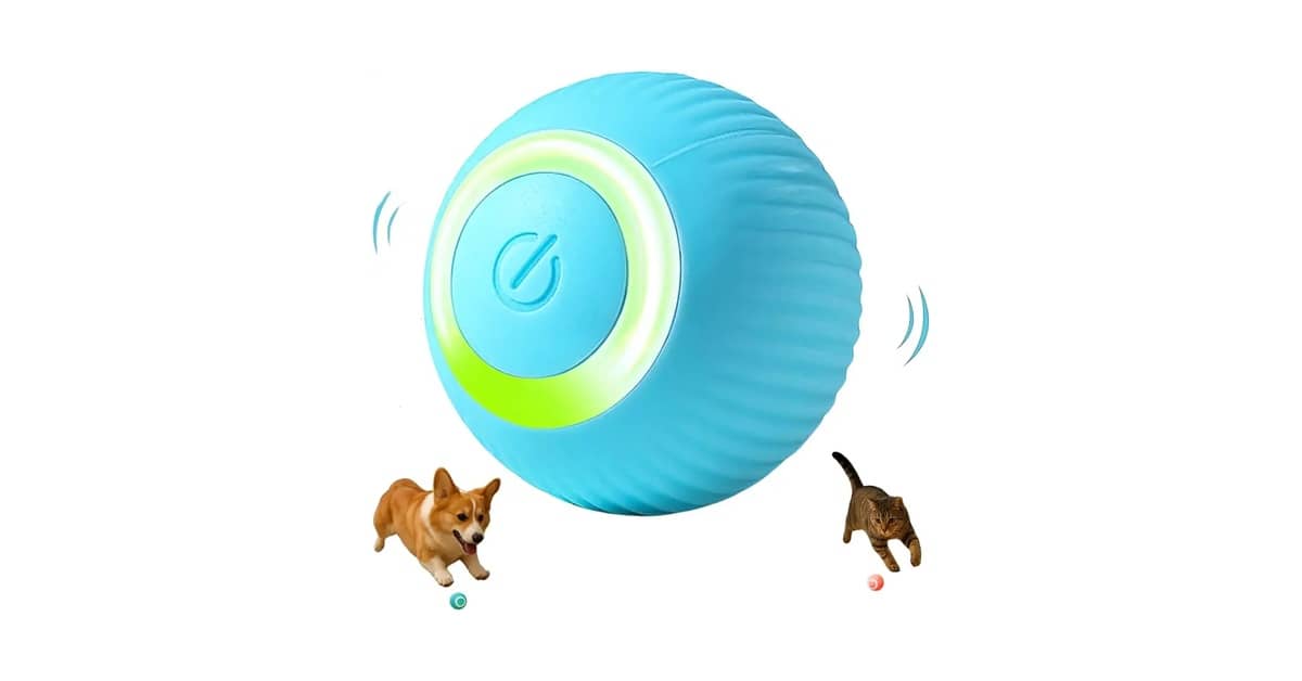 Qual o Melhor Brinquedo para Cães que Soltam Pelos? 10 Opções Fáceis de Limpar