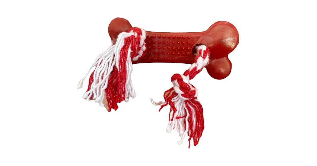 Qual o Melhor Brinquedo para Cão Filhote para Dentição?