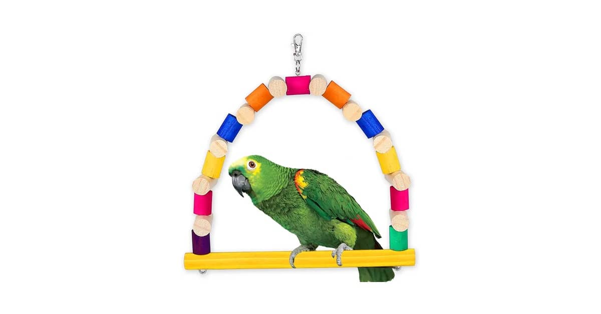 Qual o melhor brinquedo para papagaio? 10 opções