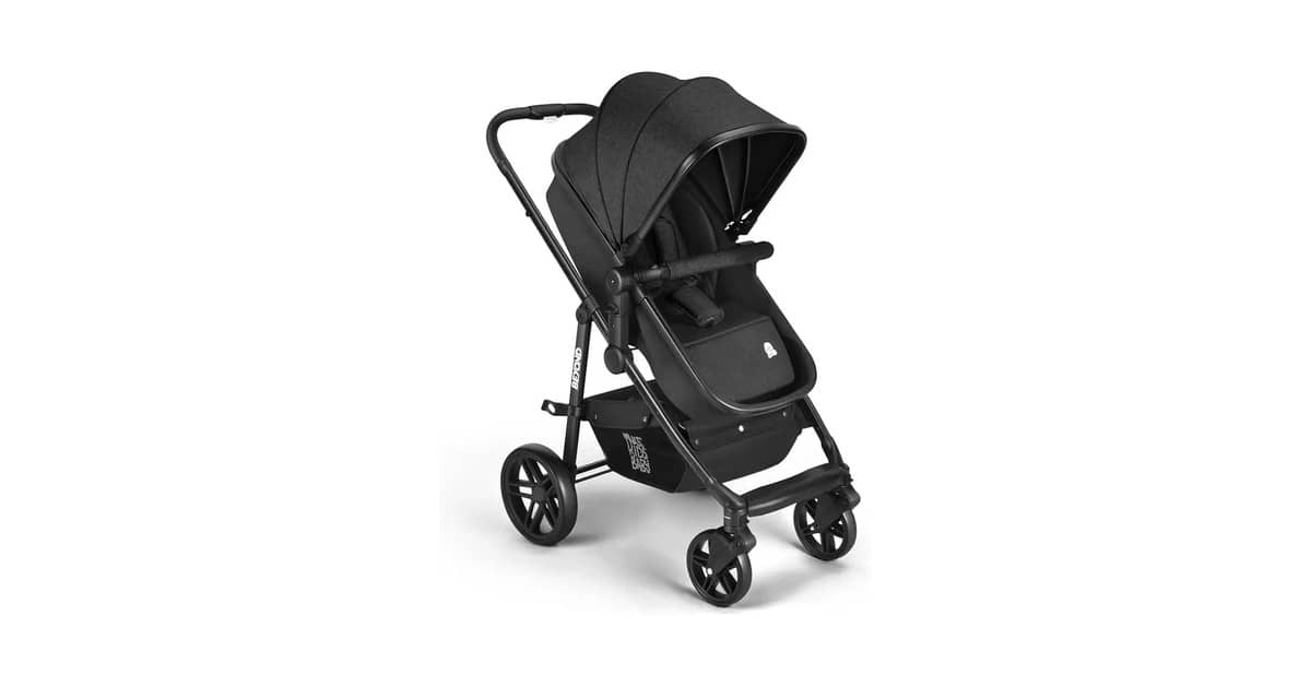 Qual o Melhor Carrinho de Bebê para Recém Nascido com Assento Moisés? Travel System vs. 2 em 1