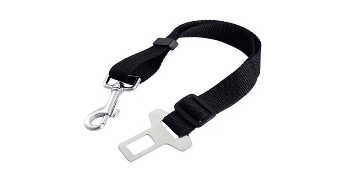 Qual o Melhor Cinto de Seguranca para Cachorro? Guia