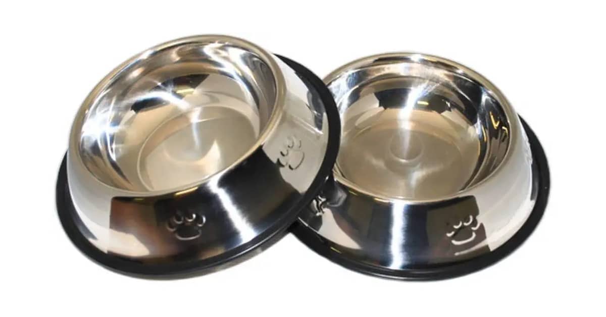 Qual o Melhor Comedouro de Inox para Cachorro? 10 Análises
