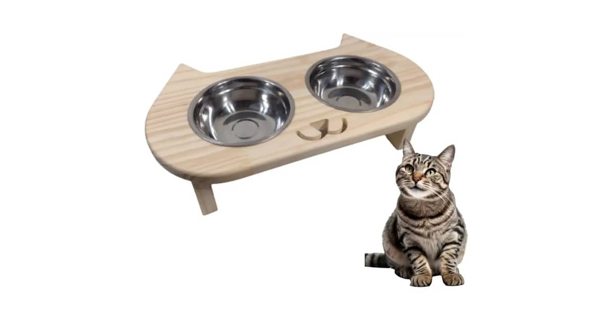 Qual o Melhor Comedouro Elevado para Gato? Análise de 10 Opções Ergonômicas