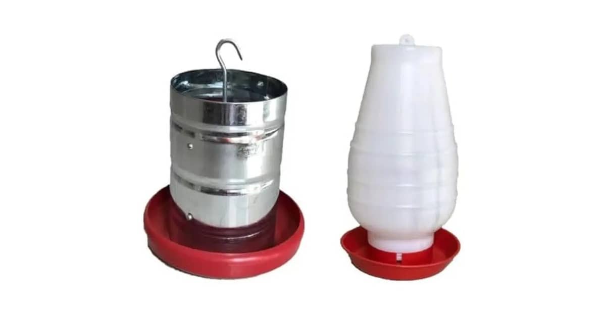 Qual o Melhor Comedouro para Galinha? 9 Modelos