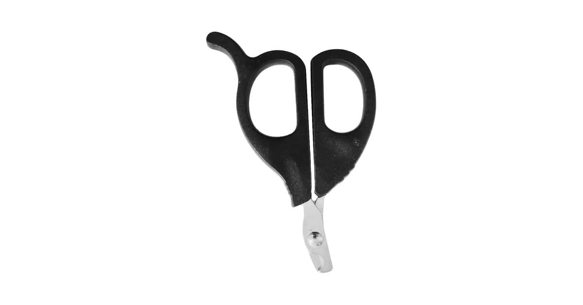 Qual o Melhor Cortador de Unha para Gato sem Medo