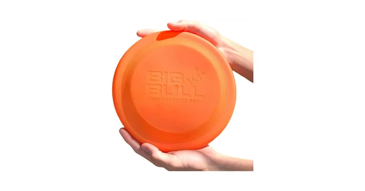 Qual o melhor frisbee para cachorro: Plástico ou borracha?