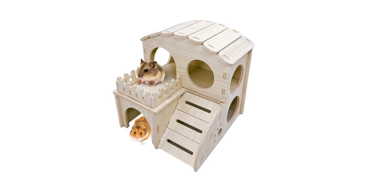 Qual o Melhor Labirinto para Hamster: Madeira ou Tubos?