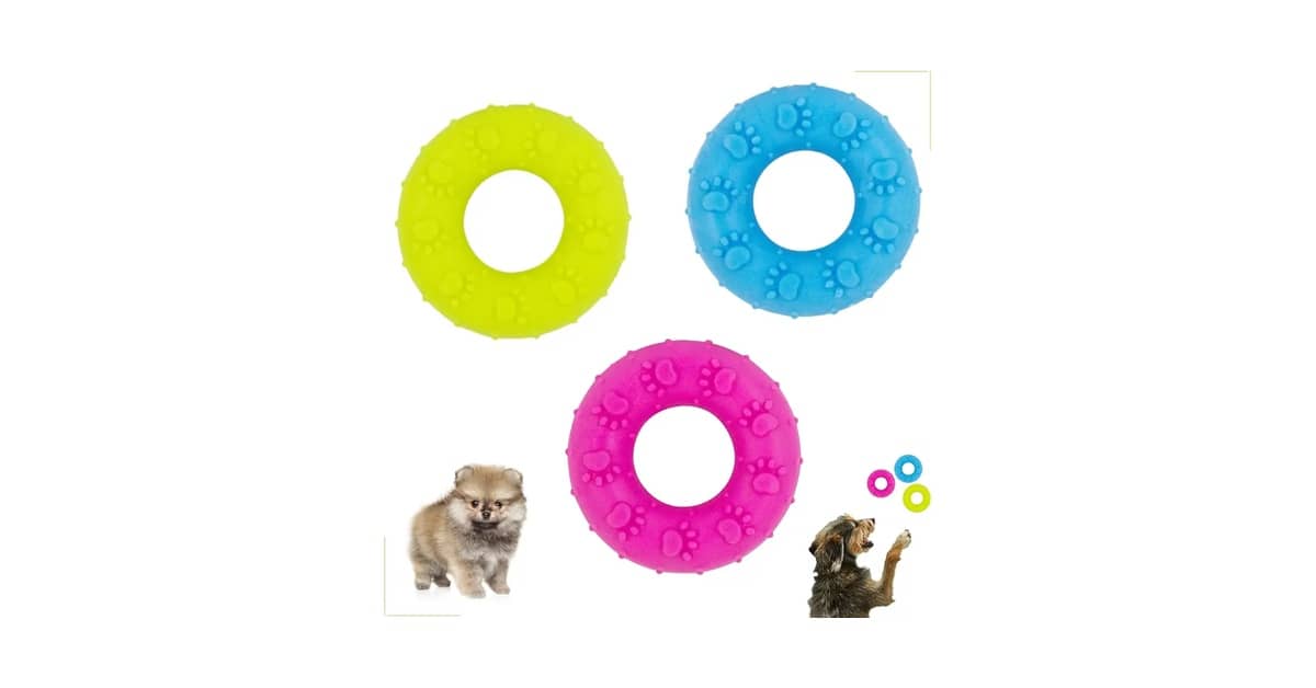 Qual o melhor mordedor para cachorro? Opções Seguras