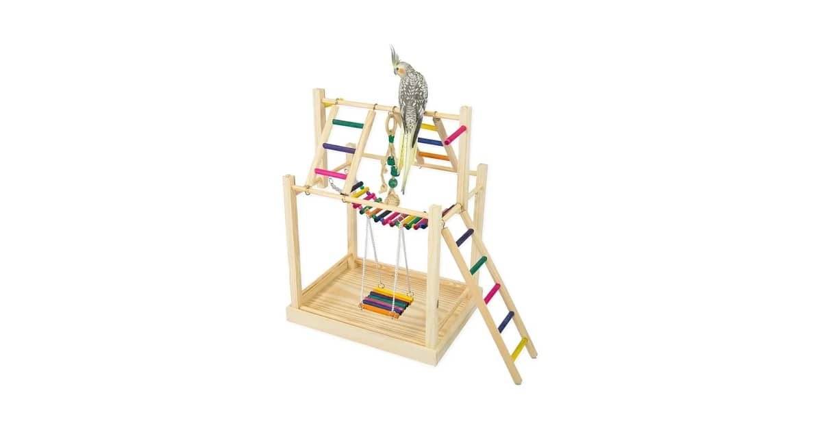 Qual o melhor playground para calopsita? 8 modelos