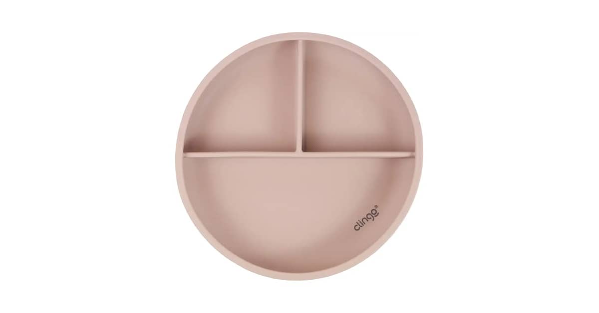 Qual o melhor prato de silicone com divisórias e ventosa? Top 10