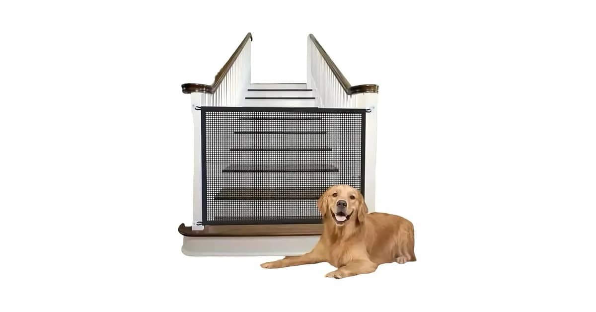Qual o Melhor Protetor de Janela Para Gatos: 10 Kits