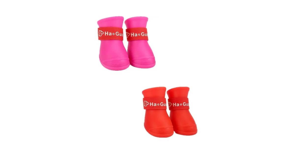 Qual o Melhor Sapatinho para Cachorro para Proteger as Patas [Guia]