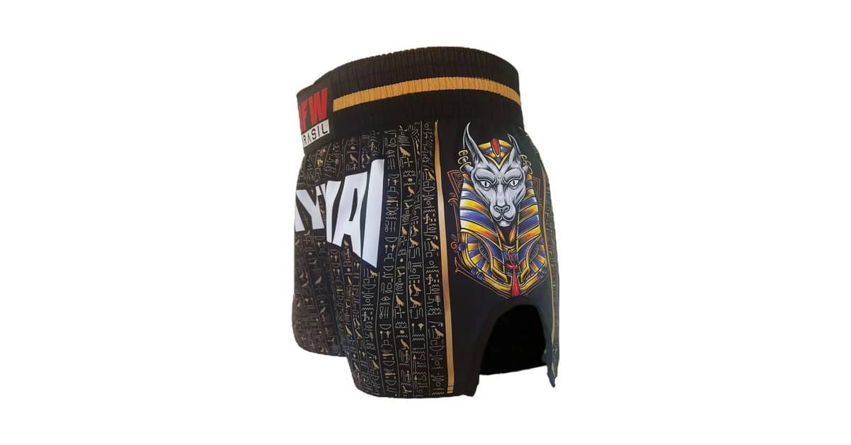 Qual o Melhor Short de Muay Thai? 10 Análises