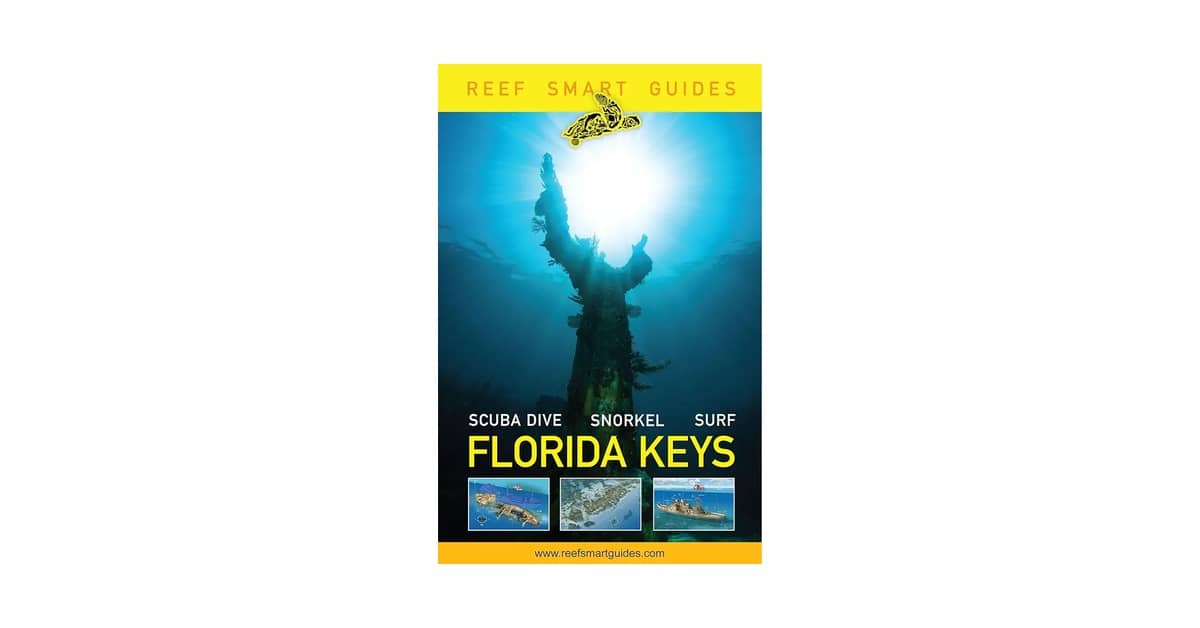 Qual o Melhor Snorkel para Mergulho Livre: O Guia