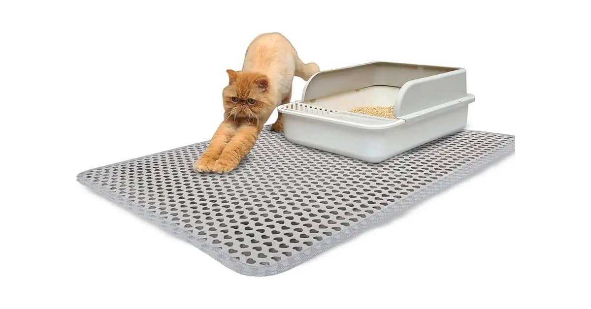 Qual o Melhor Tapete para Caixa de Areia de Gato: O Fim da Sujeira